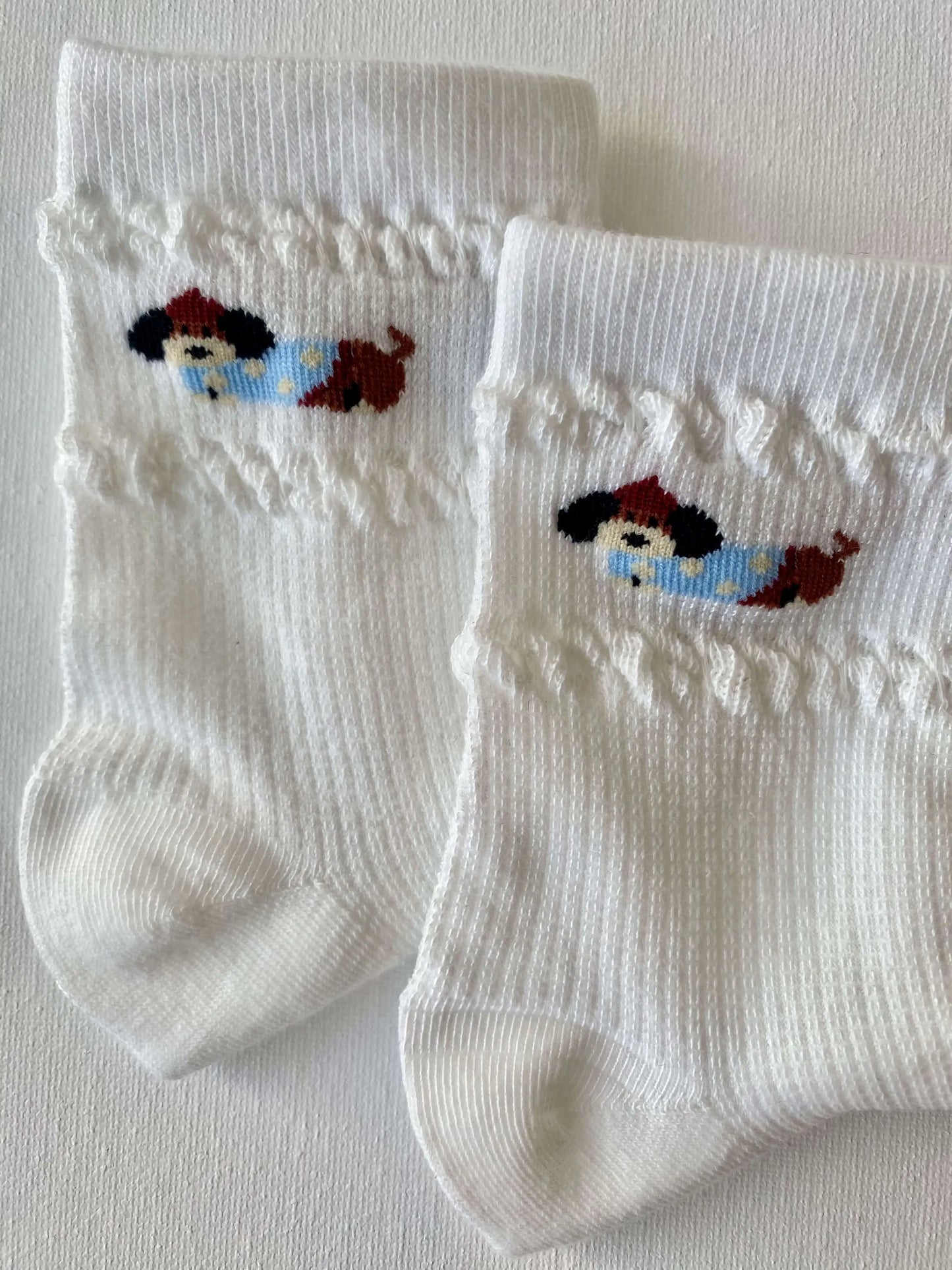 Closeup of dachshund in sweater crew sock leg and cuff details 