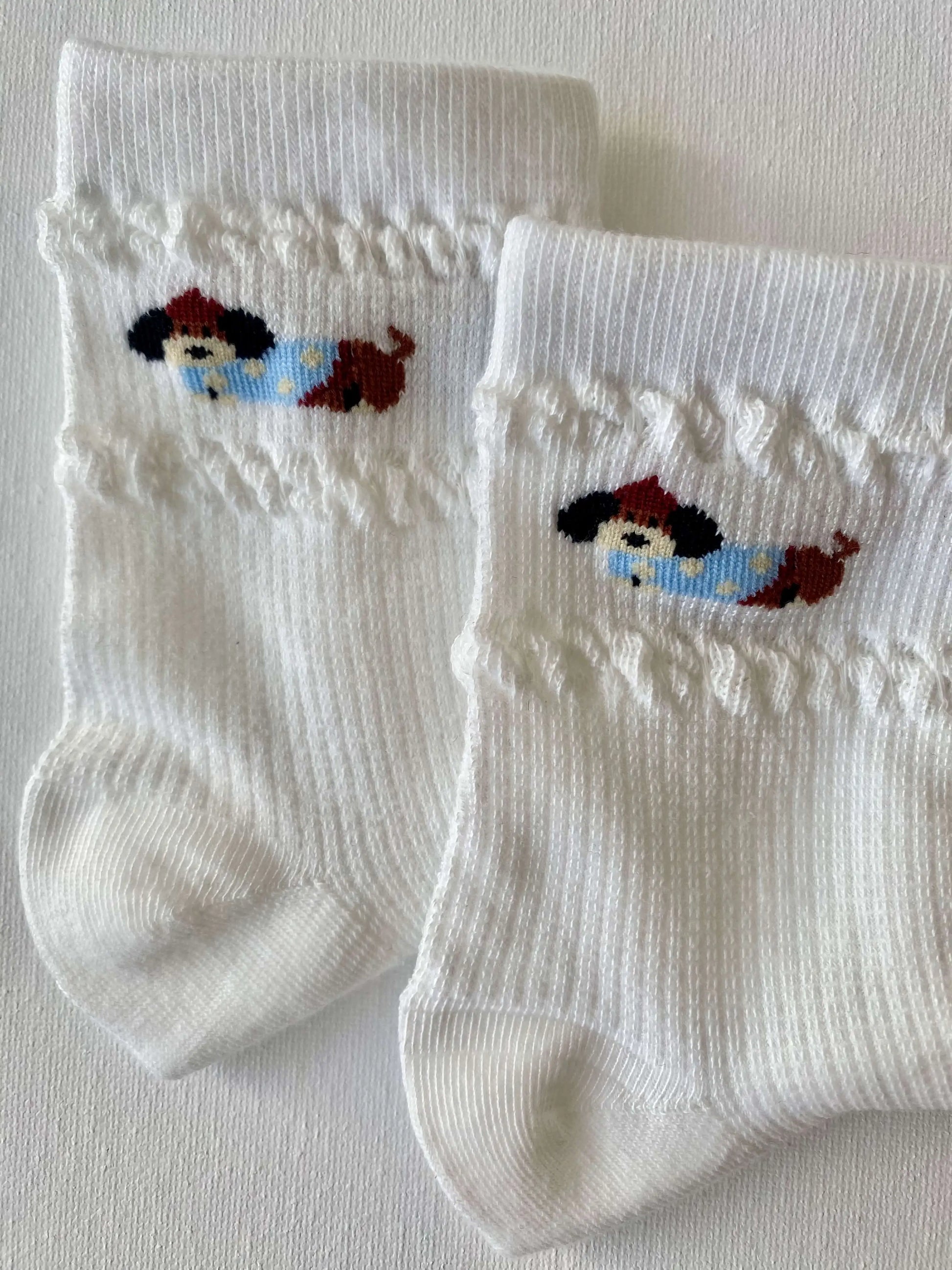 Closeup of dachshund in sweater crew sock leg and cuff details 